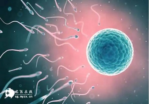 杭州代怀代生公司：﻿2023天门三代试管婴儿成功率高不高？需从这些方面来考虑