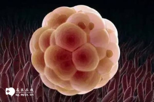 杭州正规代怀：﻿男性染色体y缺失做试管,能否顺利成功