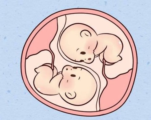 杭州代怀：﻿孕妈妈没有出现呕吐现象说明胚胎发育的不好吗？