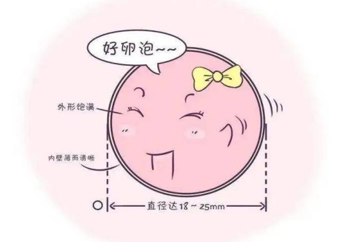 杭州代怀代生公司：﻿盘点黑痣异形增生的症状，这些皮肤异常的信号要重视