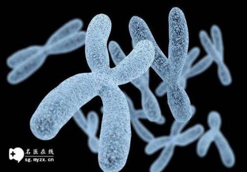杭州供精代怀：﻿备孕时可以去医院监测卵泡，彩超可以看出有无优势卵泡