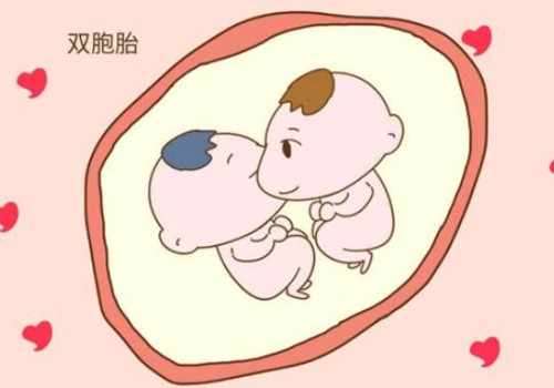 杭州试管供卵：﻿囊胚等级划分，谁好谁怀一分钟了解