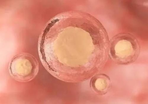 杭州代生代怀机构：﻿子宫内膜越来越薄，中医药这样调理